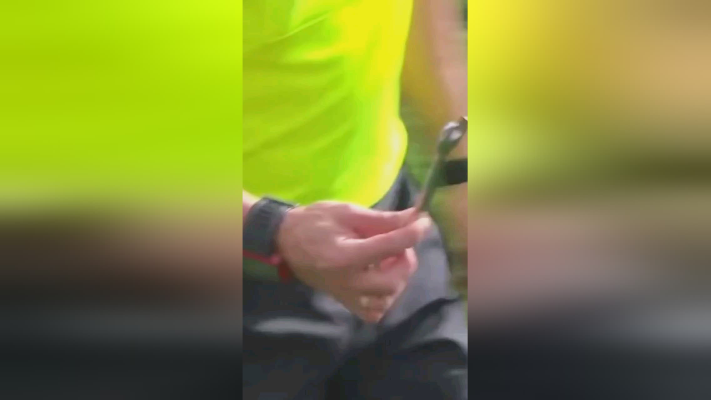 国体育