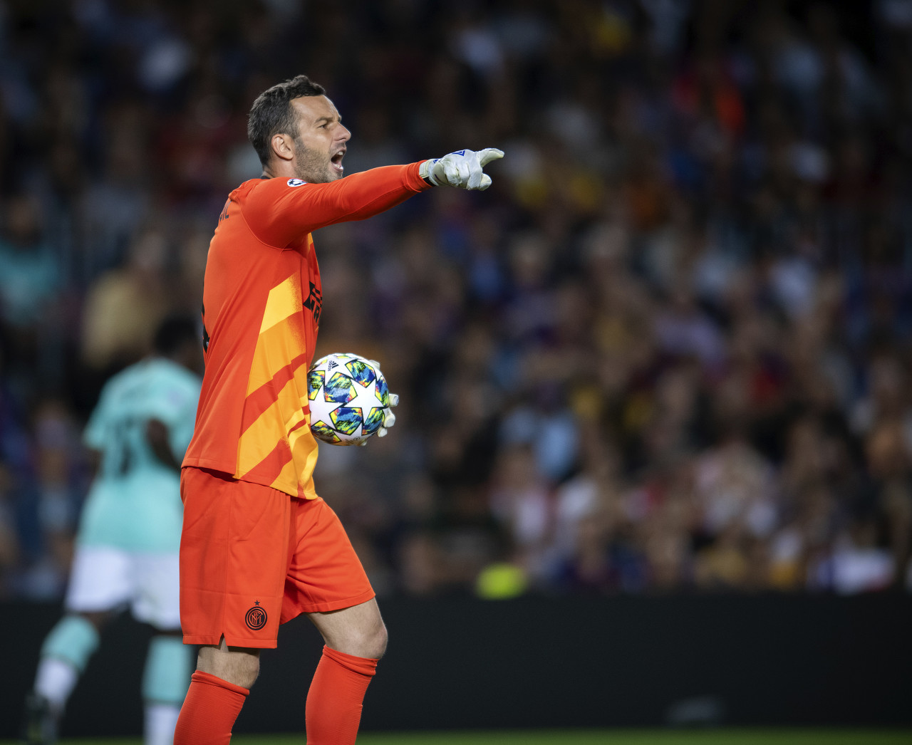 了一个启示 了一个启示